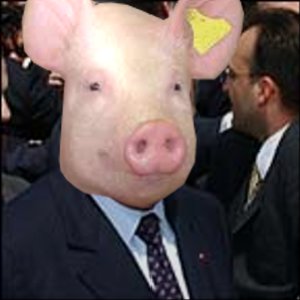 cochon